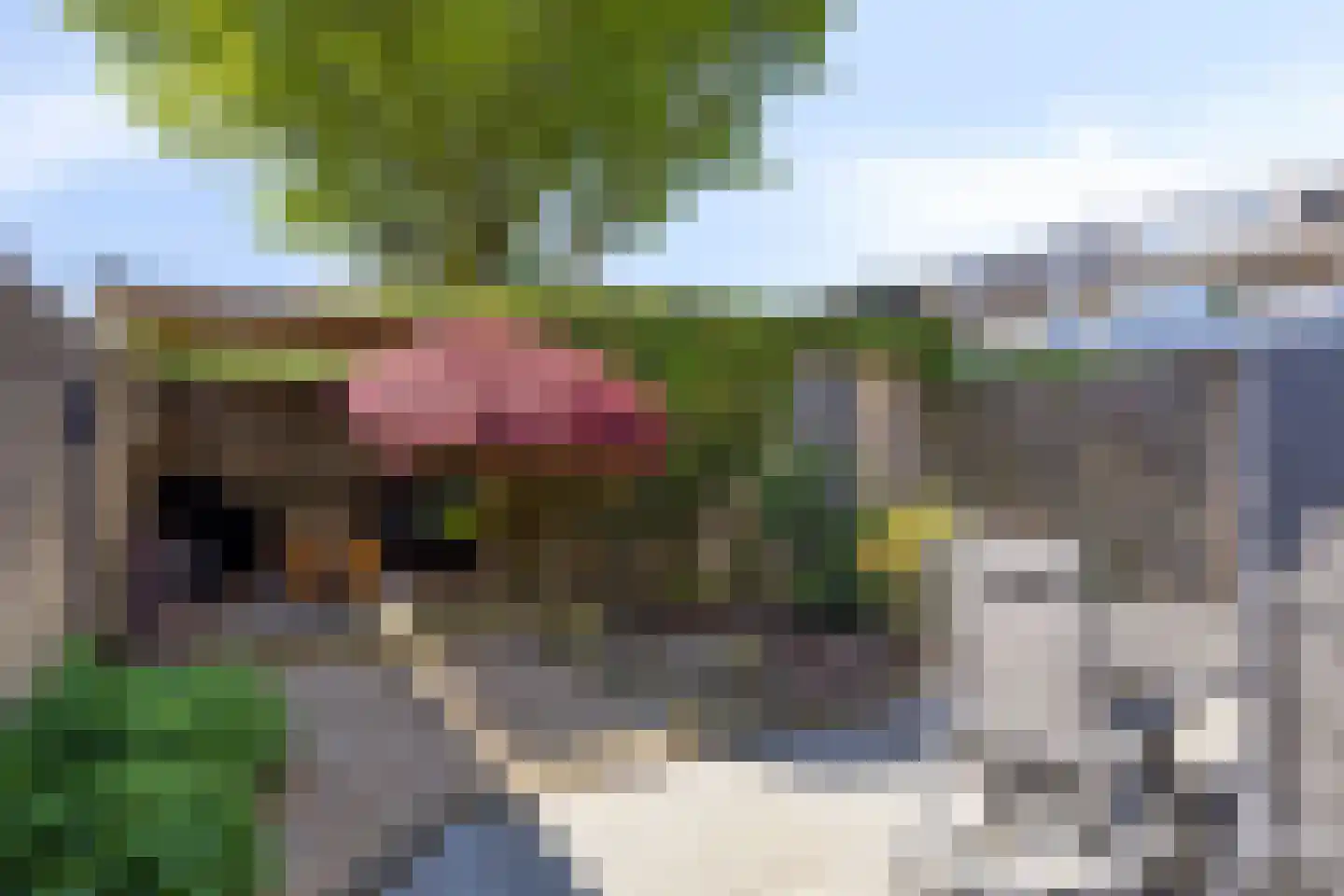 Sledsenpad 2 Veldhoven thumbnail 45