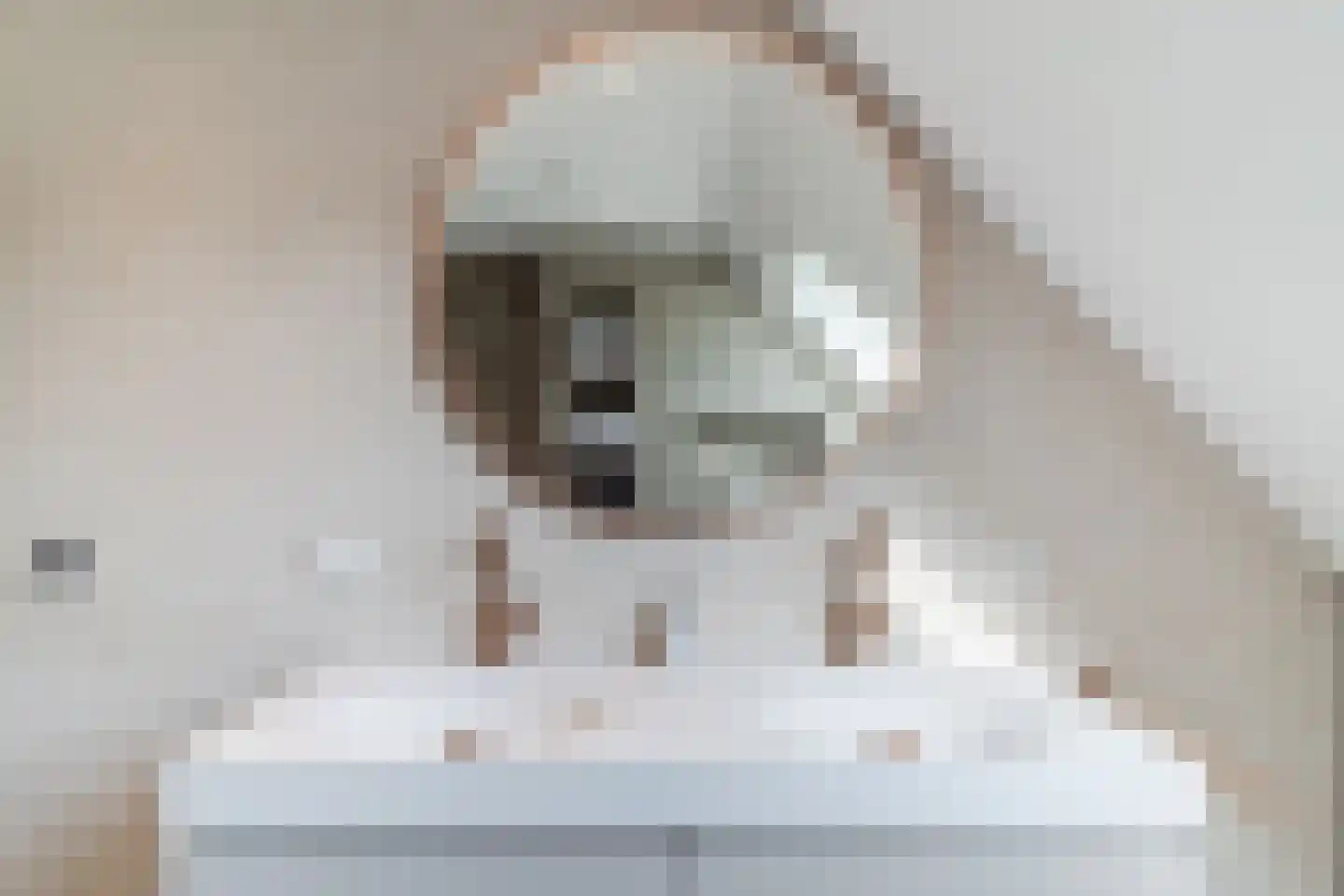Sleebos 15 Oirschot thumbnail 24