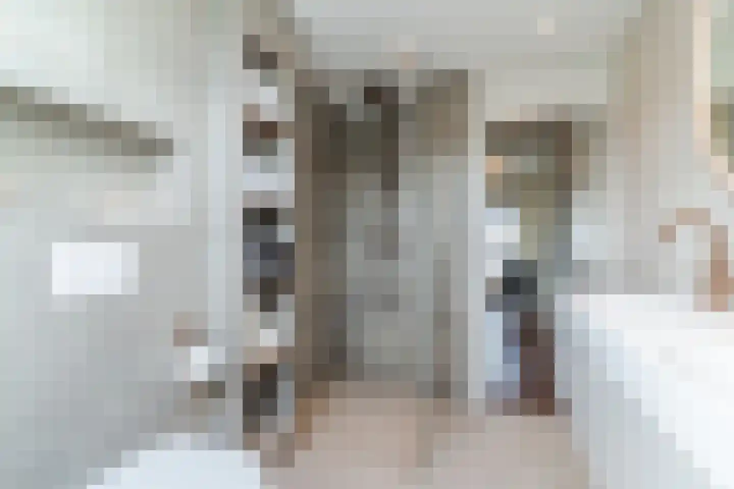 Sleebos 15 Oirschot thumbnail 26