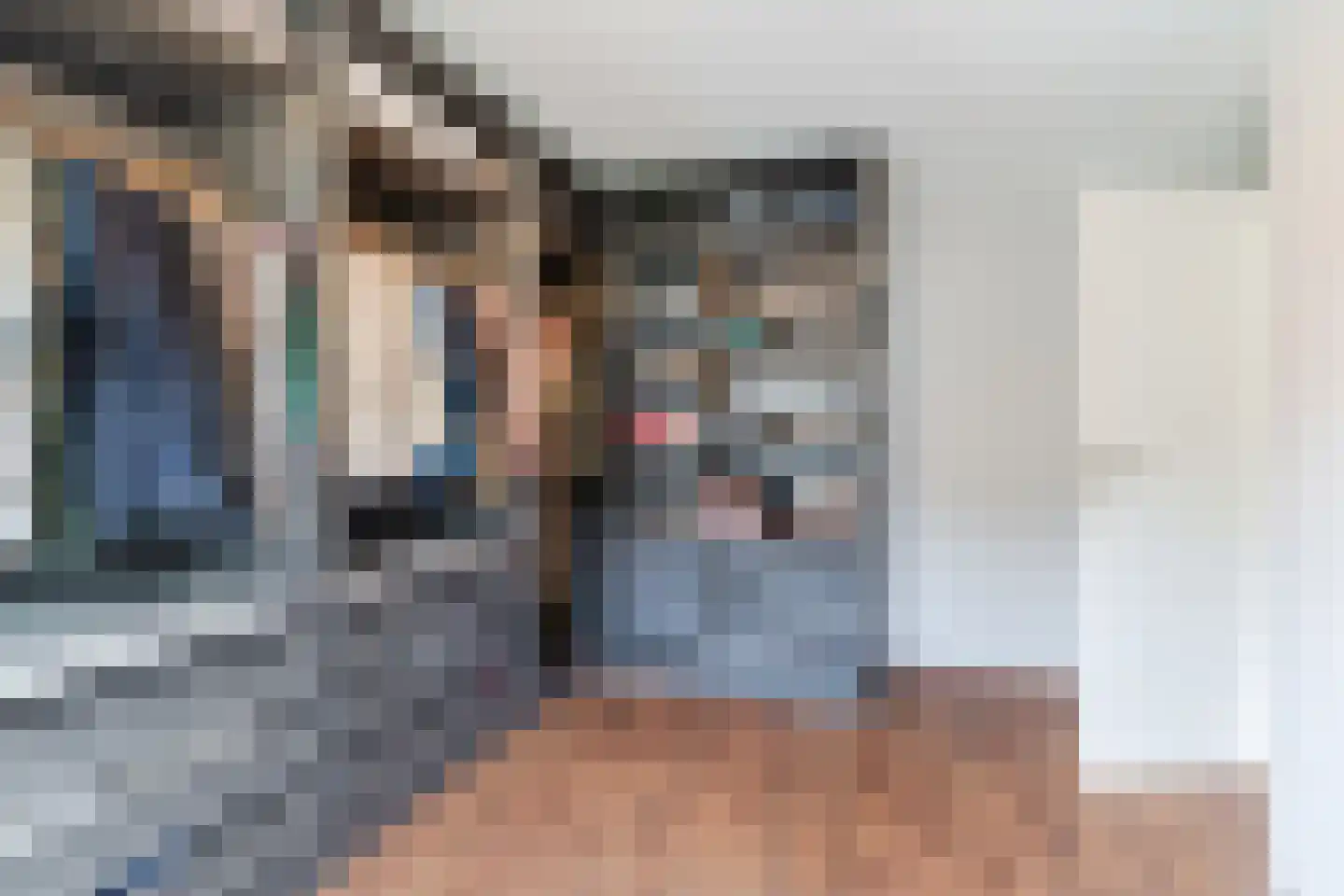 Sleebos 15 Oirschot thumbnail 29