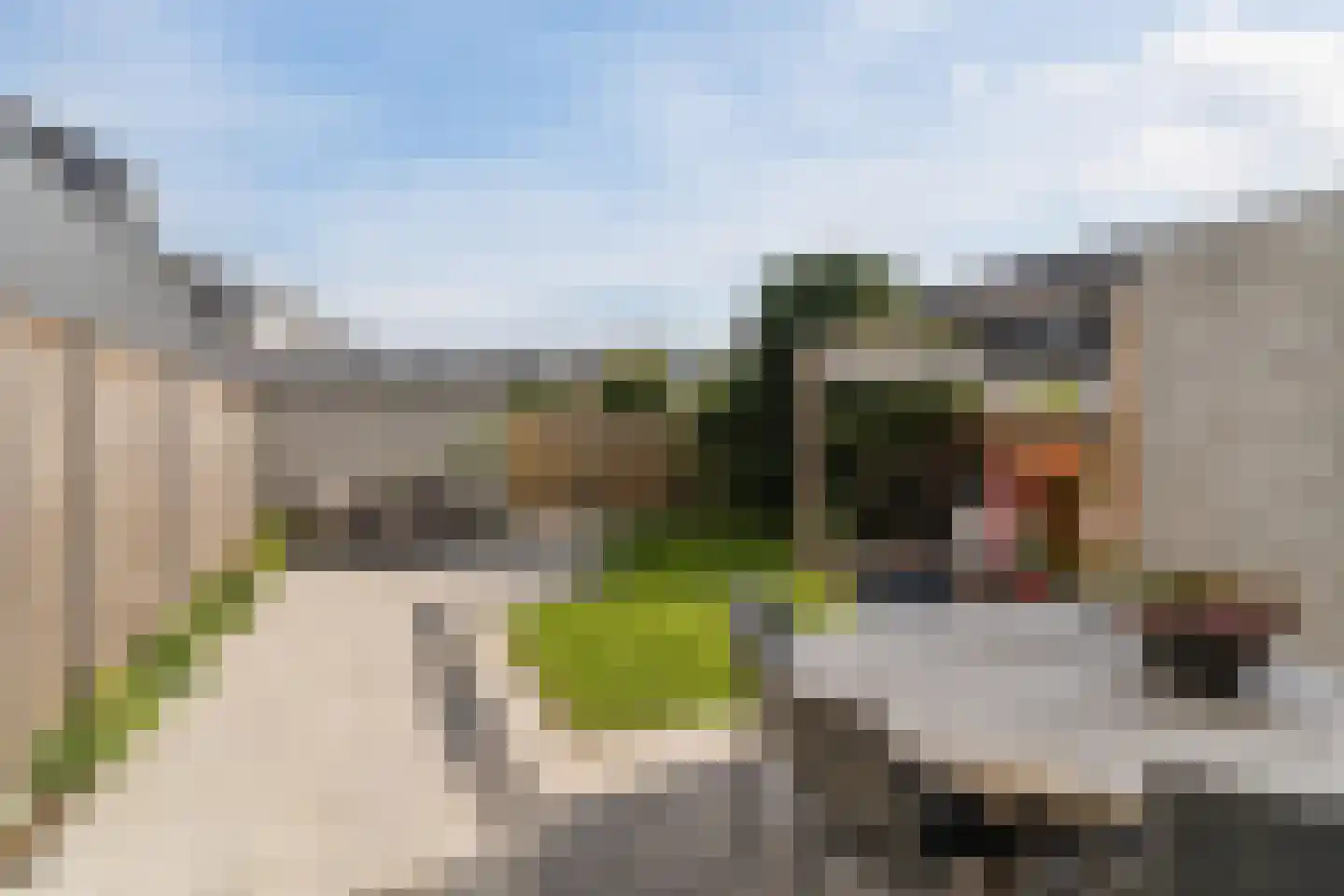 Sleebos 15 Oirschot thumbnail 41