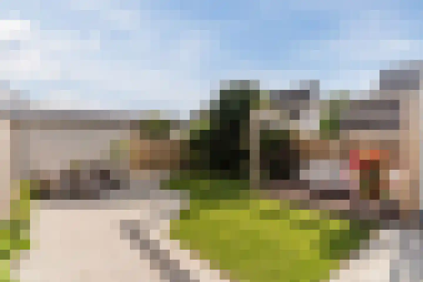 Sleebos 15 Oirschot thumbnail 42