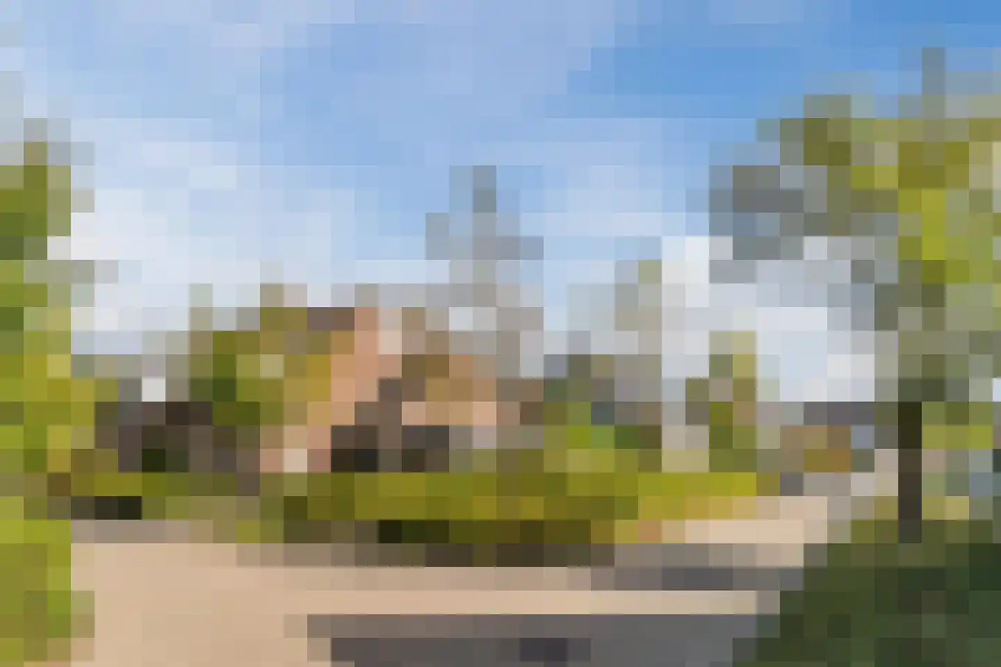Sleebos 15 Oirschot thumbnail 48