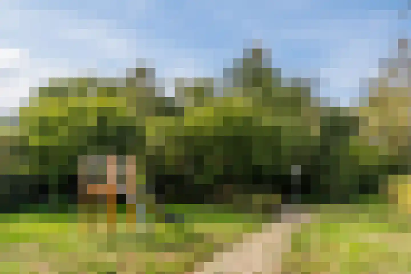 Sleebos 15 Oirschot thumbnail 50