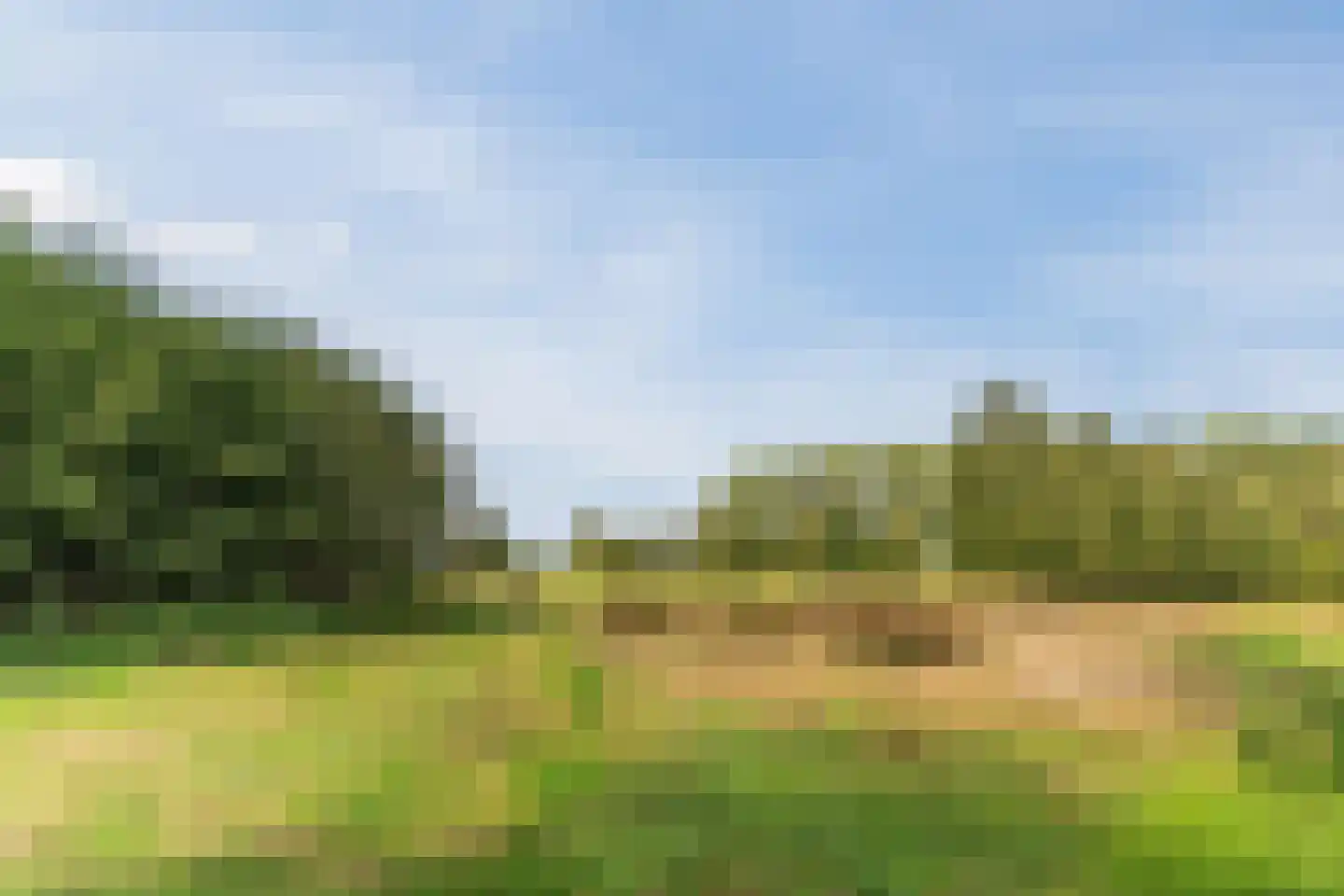Sleebos 15 Oirschot thumbnail 51