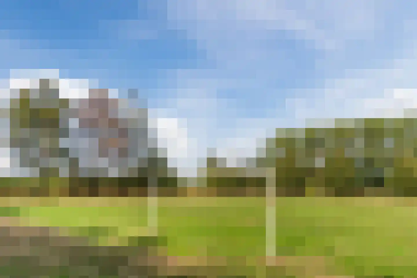 Sleebos 15 Oirschot thumbnail 52