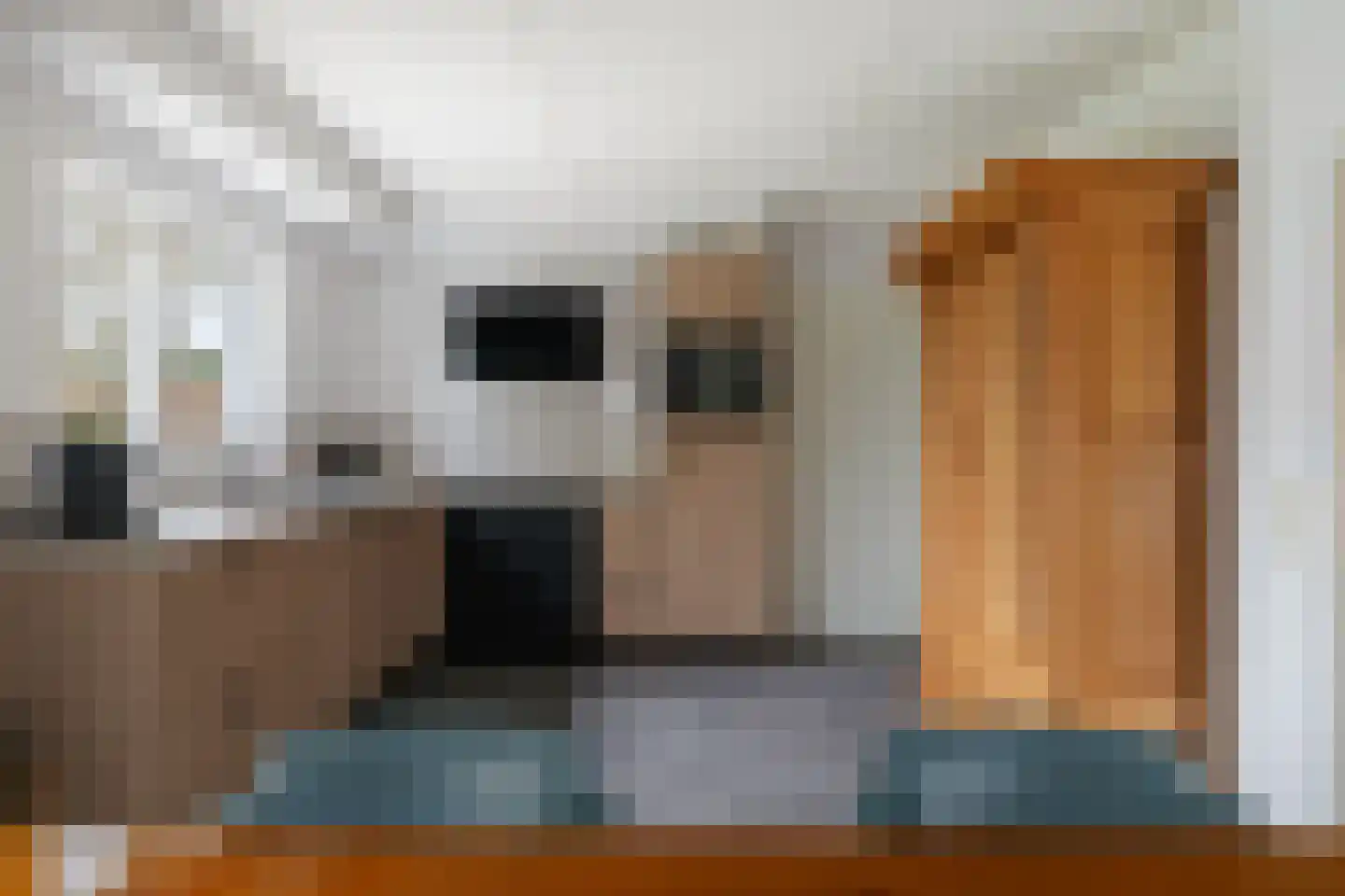 Sleedoorn 1 Wilp thumbnail 10