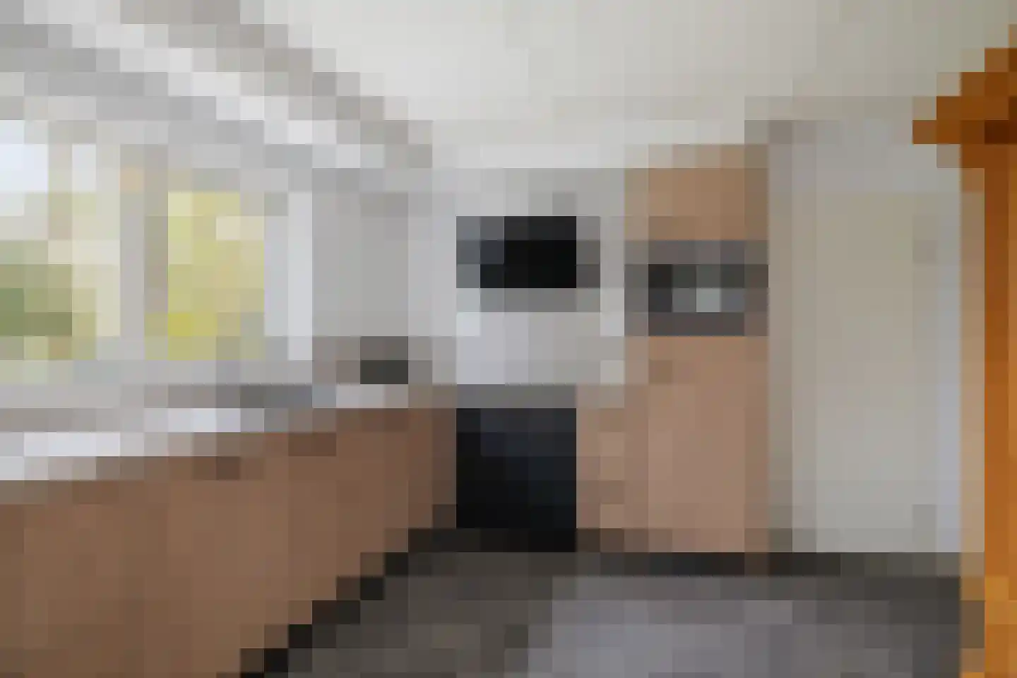 Sleedoorn 1 Wilp thumbnail 12