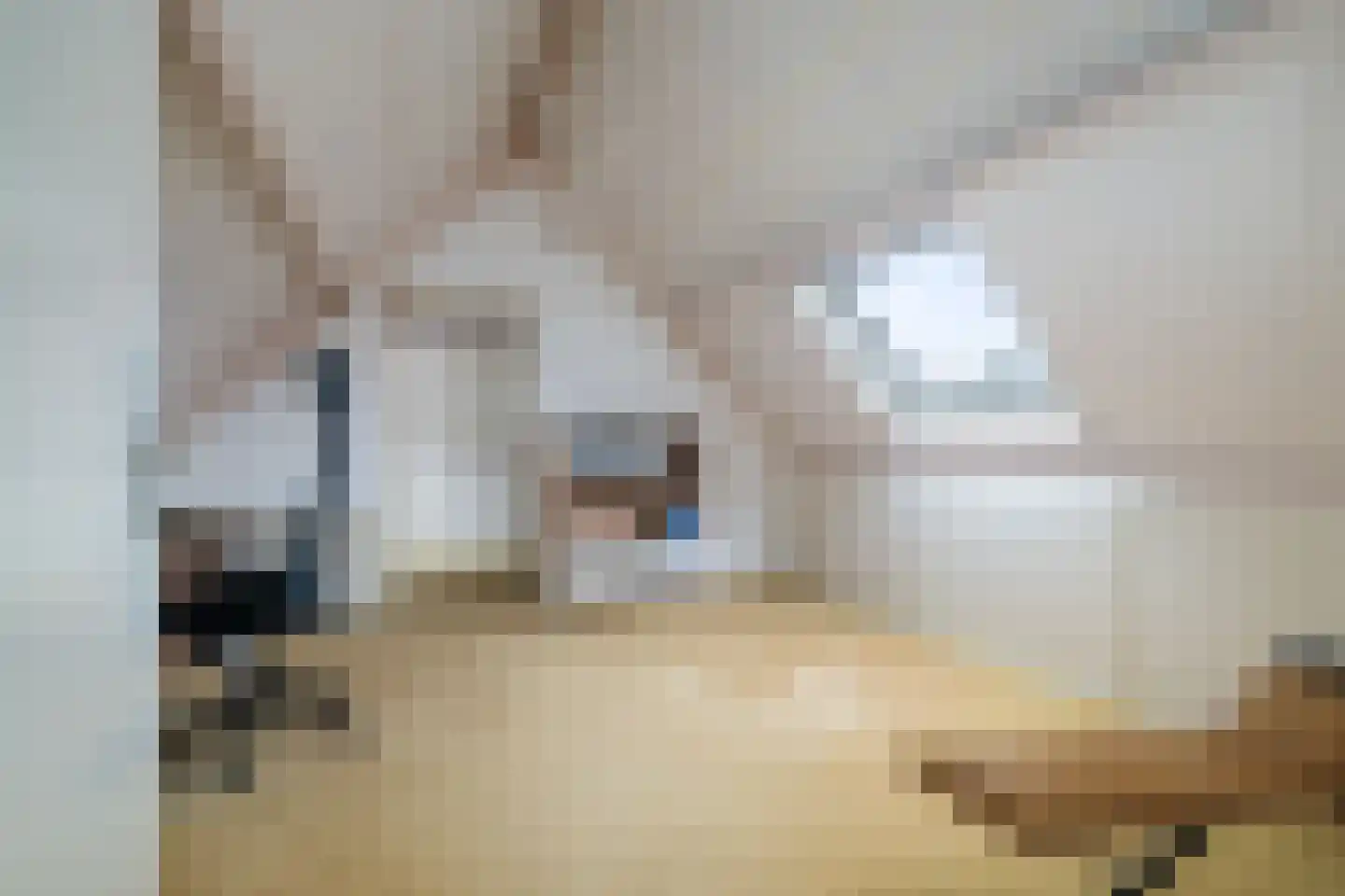 Sleedoorn 1 Wilp thumbnail 21