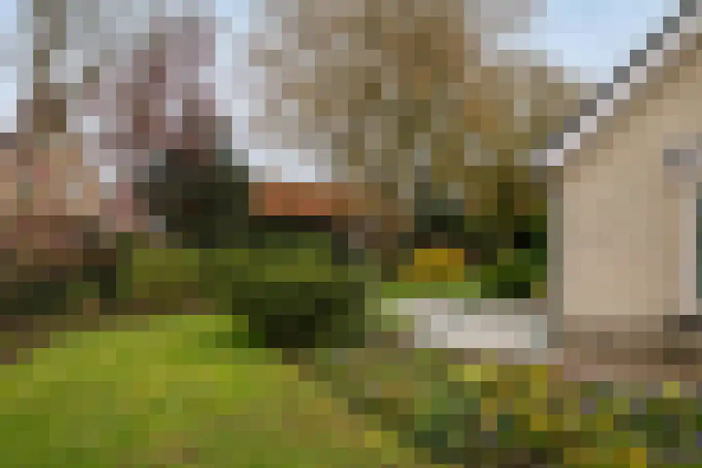 Sleedoorn 1 Wilp thumbnail 28