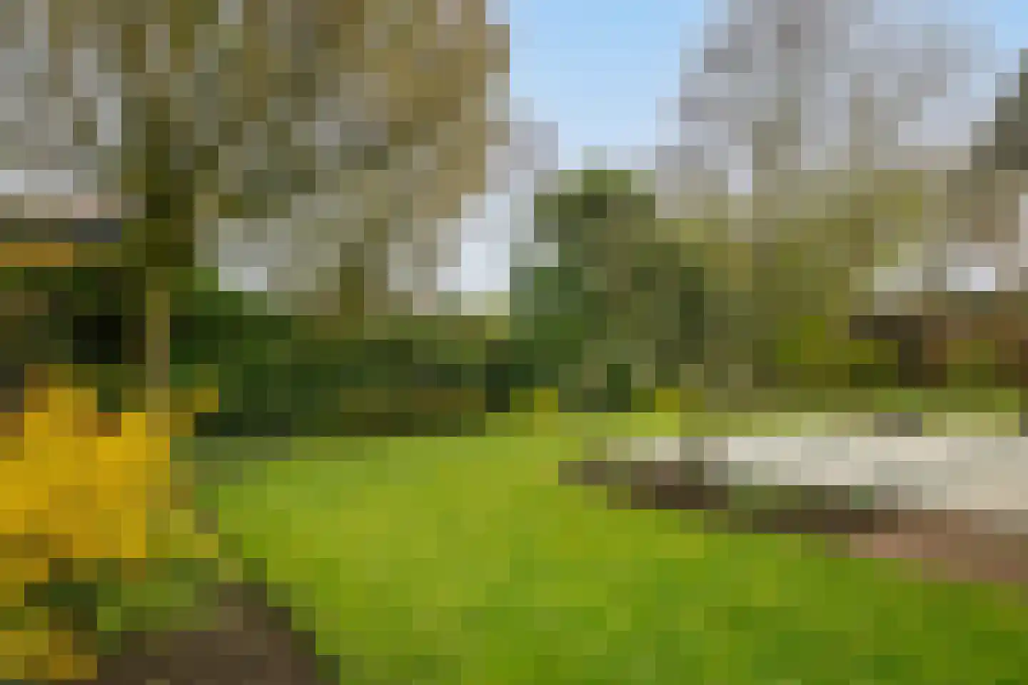 Sleedoorn 1 Wilp thumbnail 31