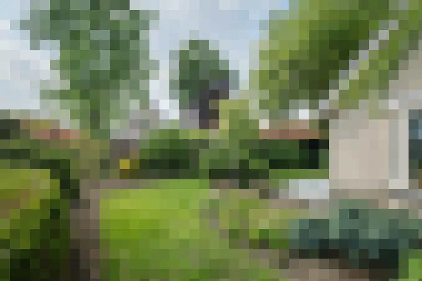 Sleedoorn 1 Wilp thumbnail 32