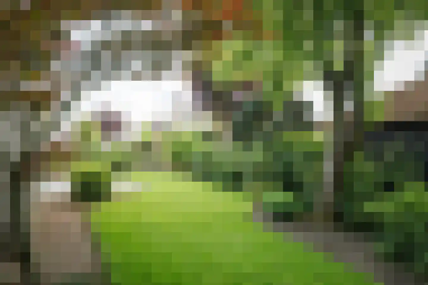 Sleedoorn 1 Wilp thumbnail 36