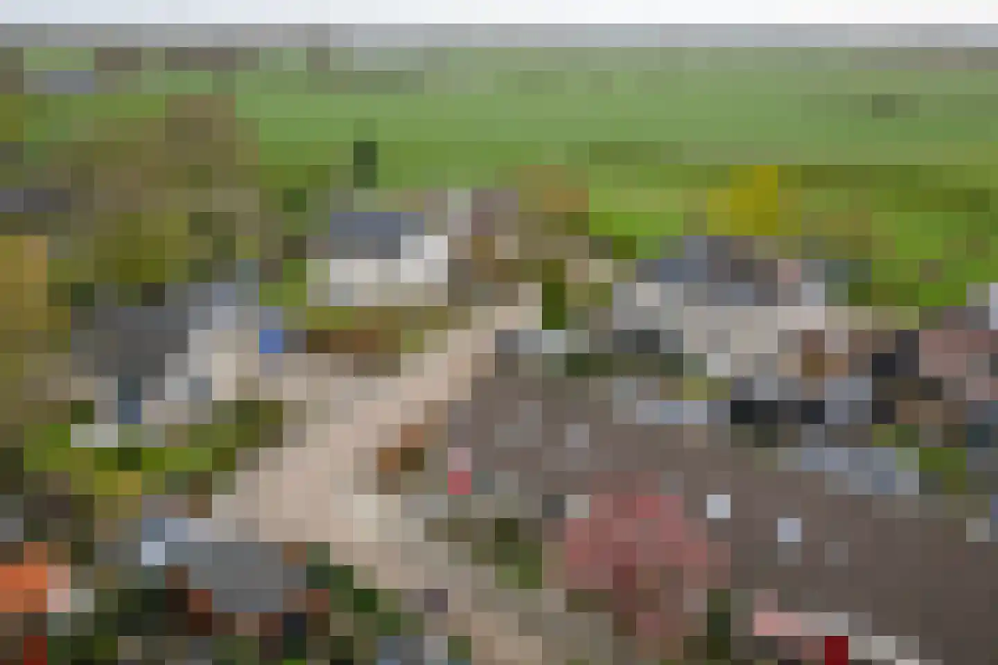 Sleedoorn 1 Wilp thumbnail 36