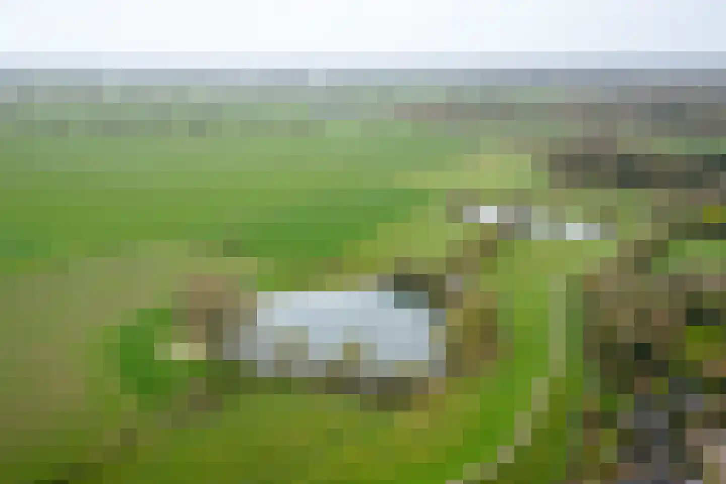 Sleedoorn 1 Wilp thumbnail 38