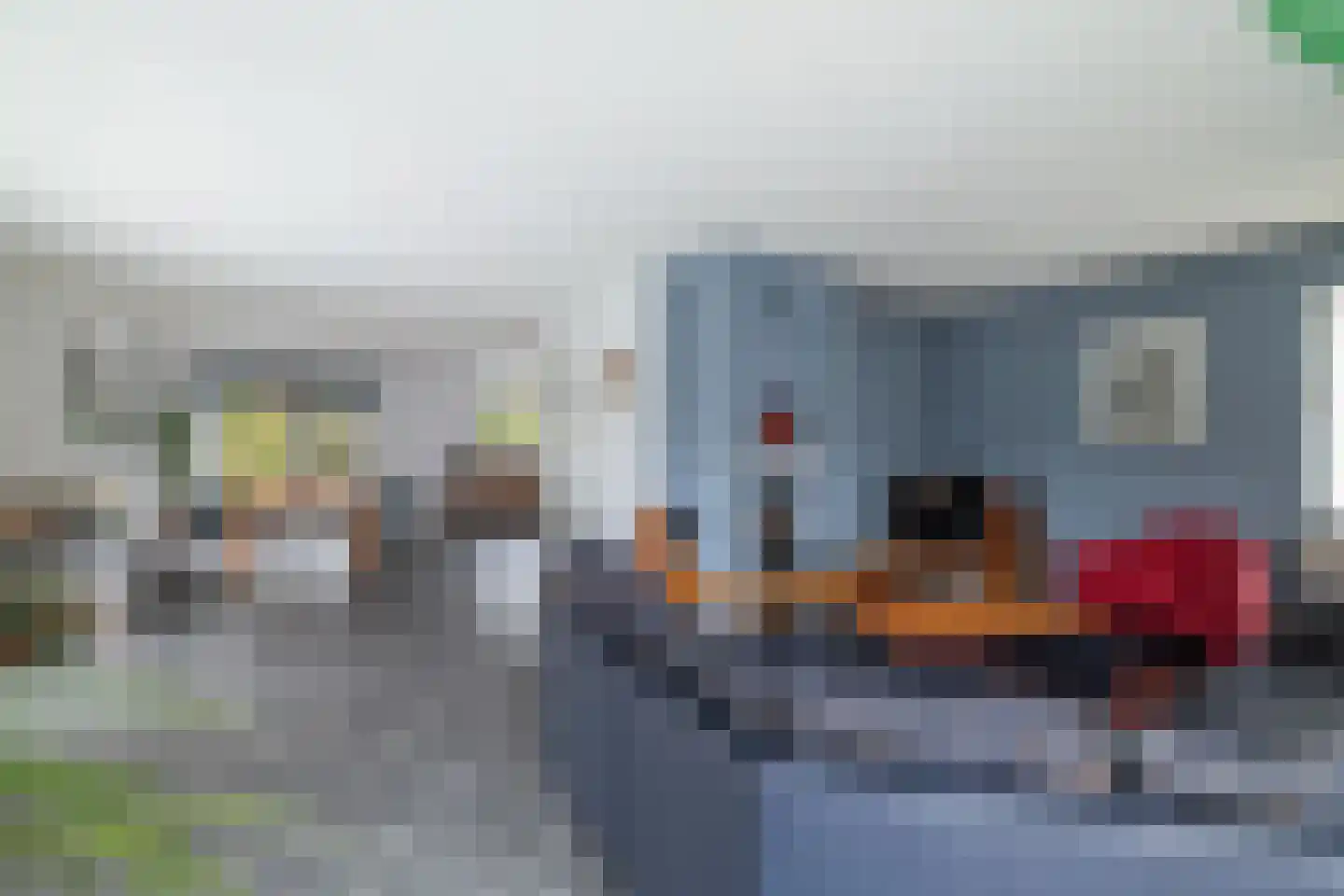 Sleedoorn 1 Wilp thumbnail 4