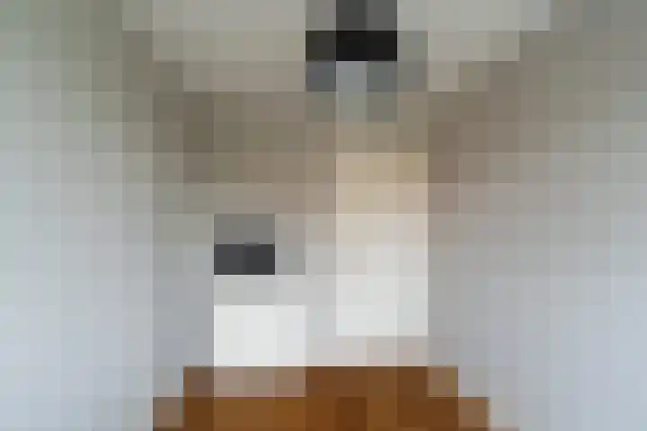 Sleedoorn 111 Poortugaal thumbnail 30