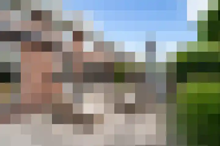 Sleedoorn 111 Poortugaal thumbnail 37