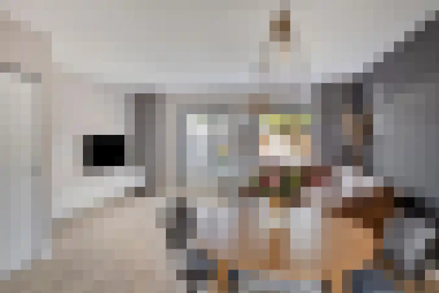 Sleedoorn 13 Cuijk thumbnail 13