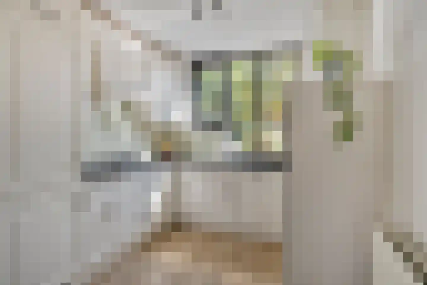 Sleedoorn 13 Cuijk thumbnail 14