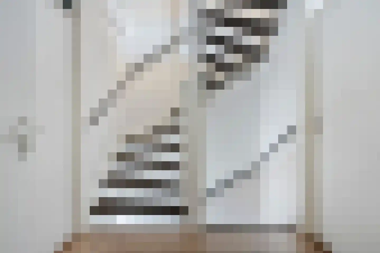 Sleedoorn 13 Cuijk thumbnail 16