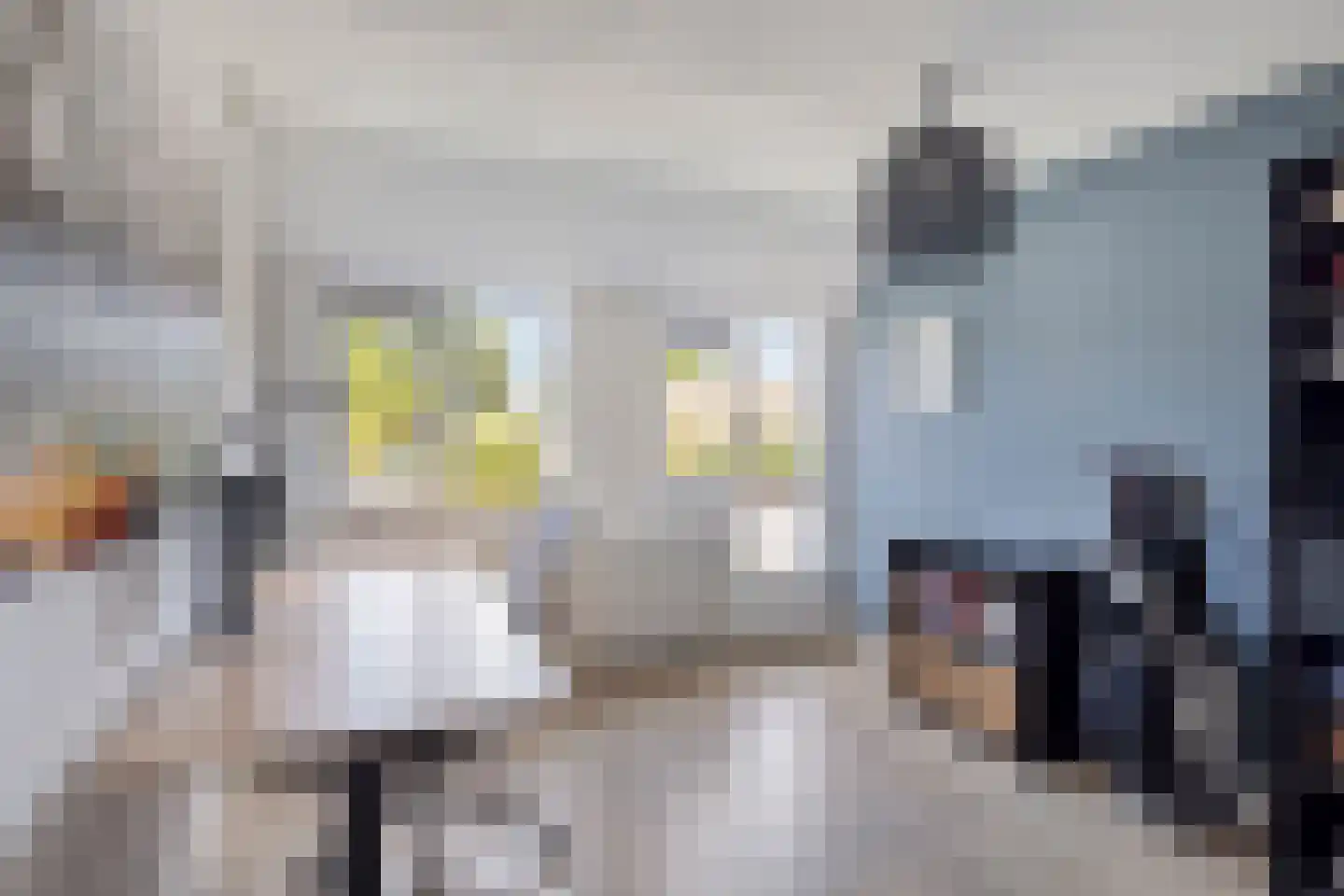 Sleedoorn 13 Cuijk thumbnail 22