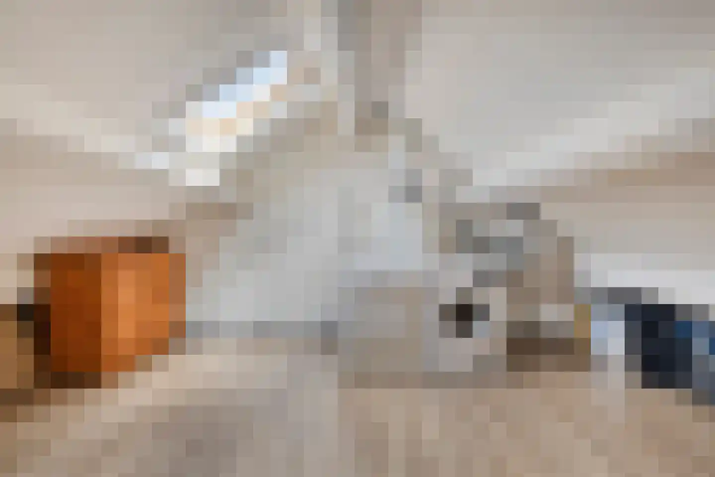 Sleedoorn 13 Cuijk thumbnail 25