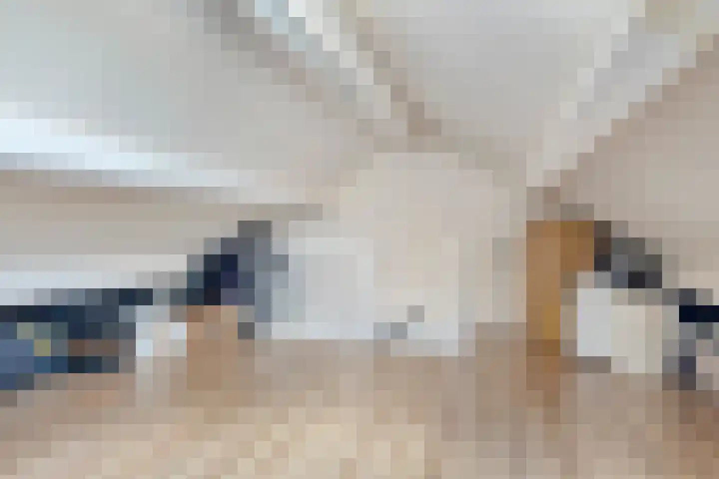 Sleedoorn 13 Cuijk thumbnail 26