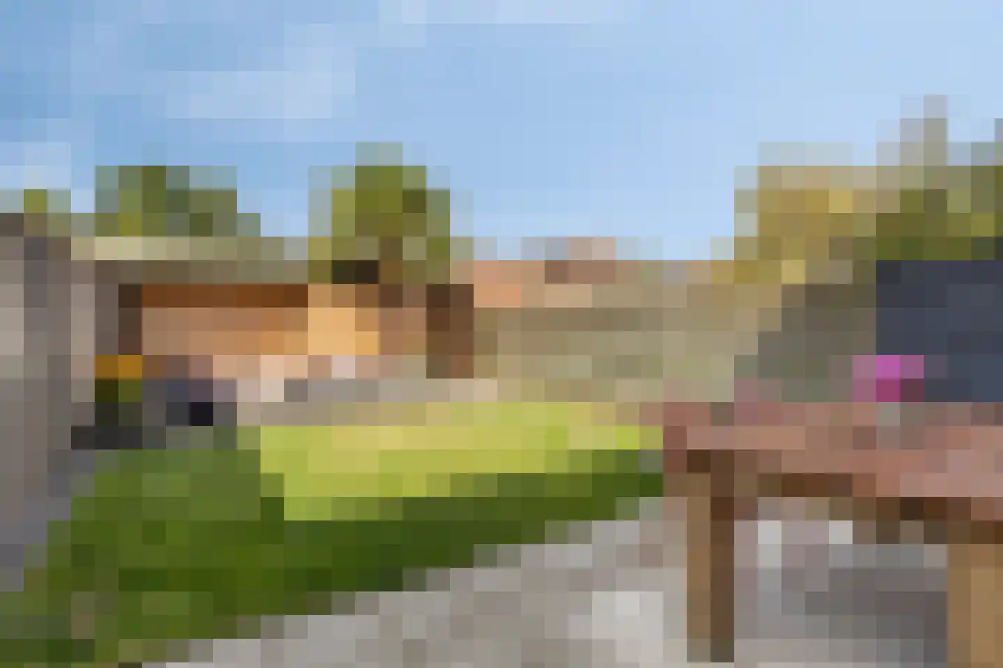 Sleedoorn 13 Cuijk thumbnail 27