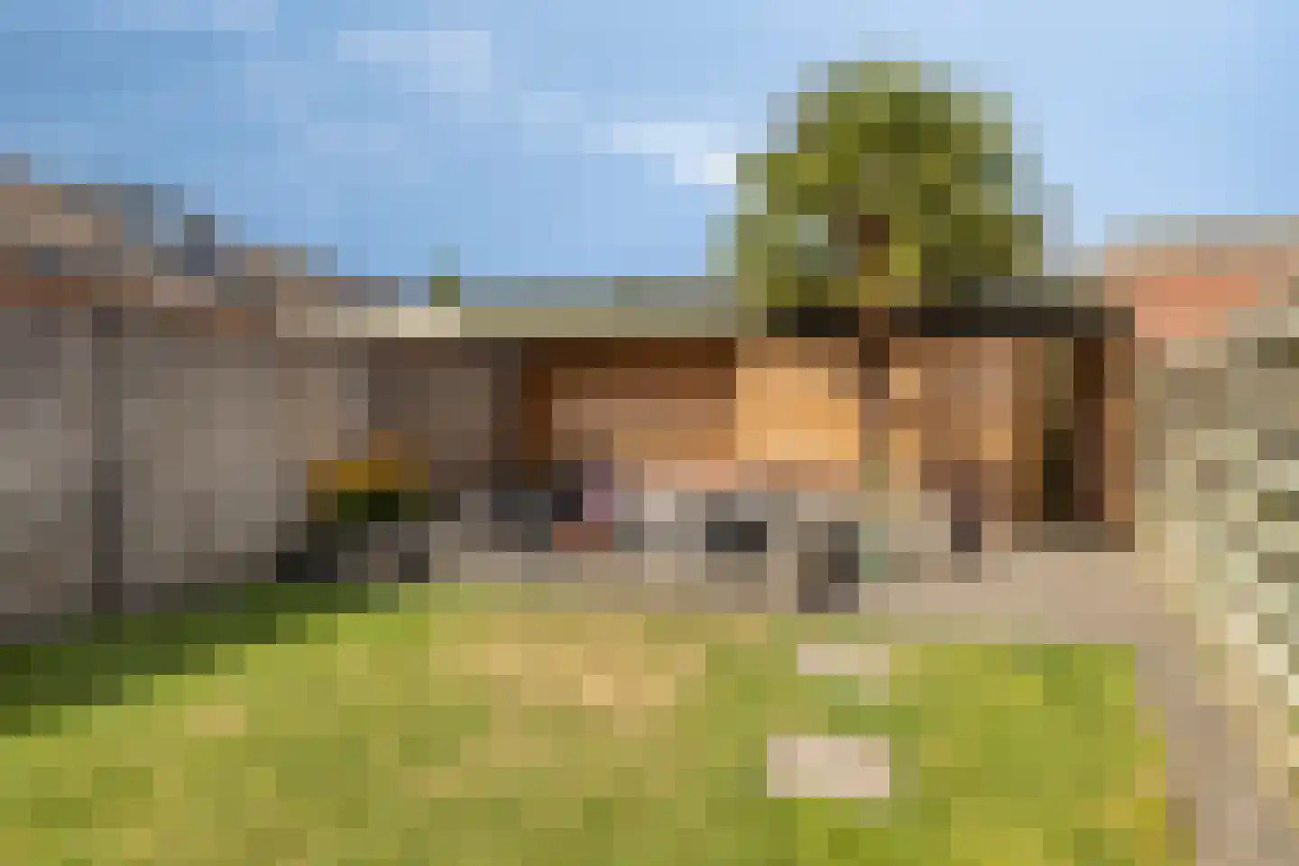 Sleedoorn 13 Cuijk thumbnail 28