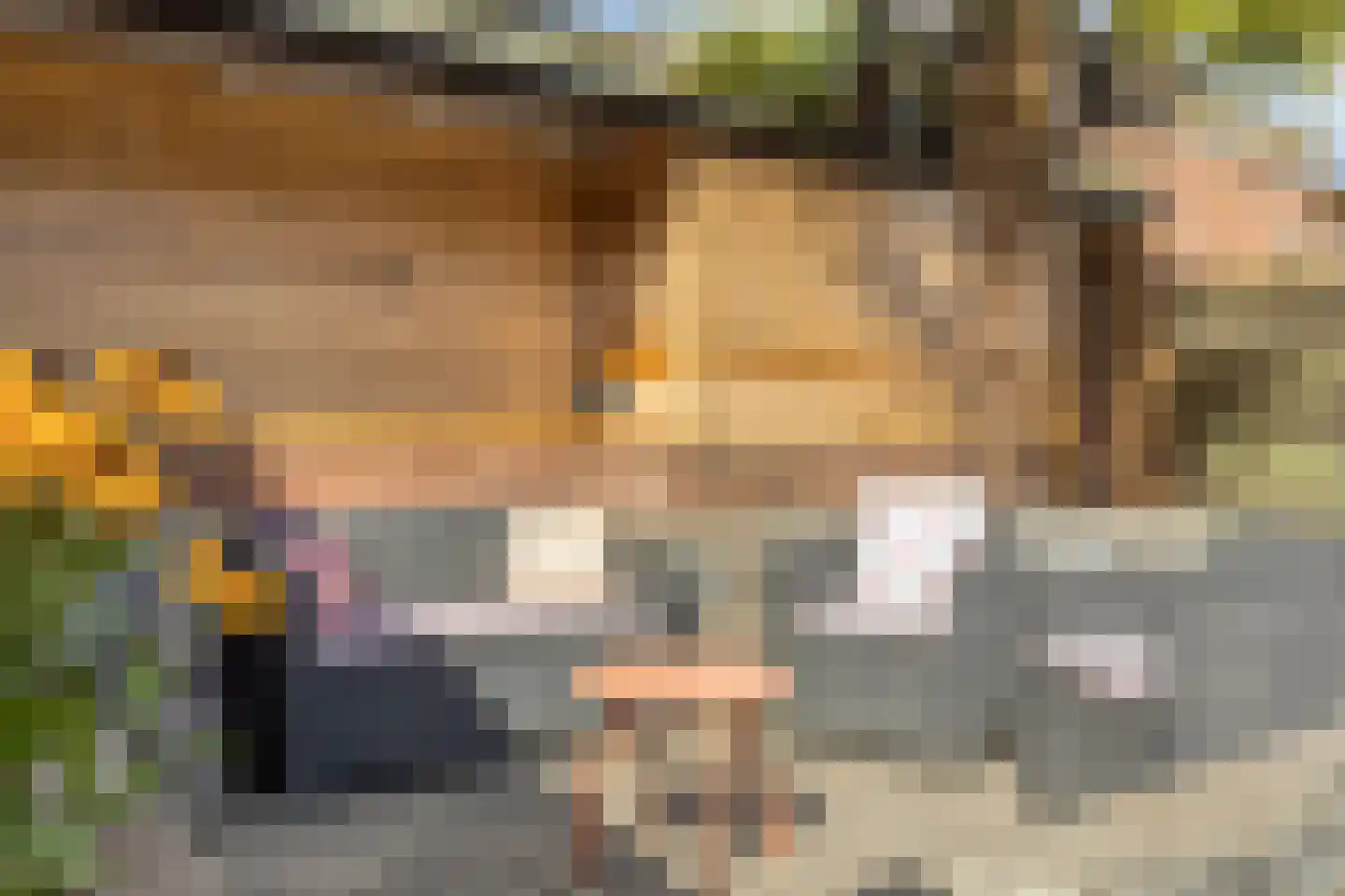 Sleedoorn 13 Cuijk thumbnail 29