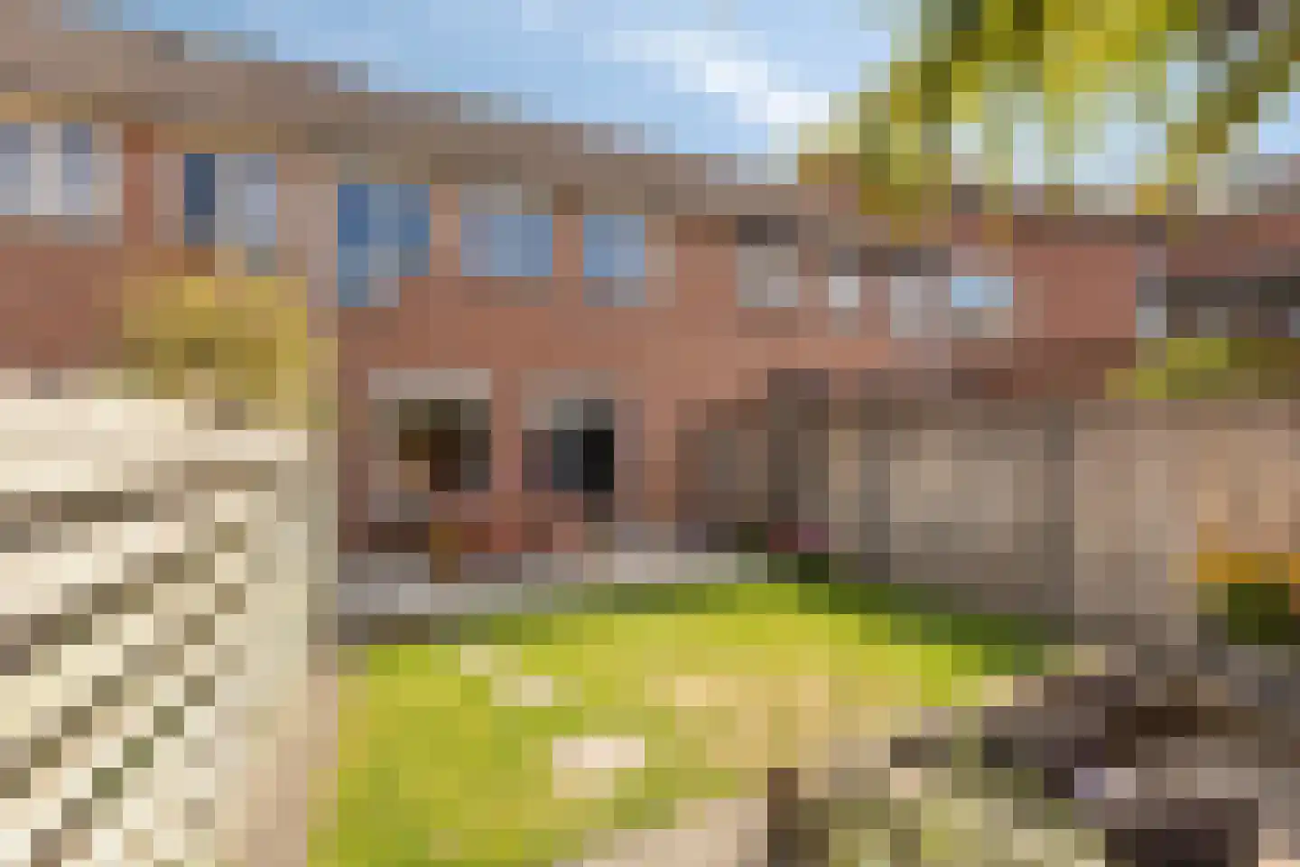 Sleedoorn 13 Cuijk thumbnail 31