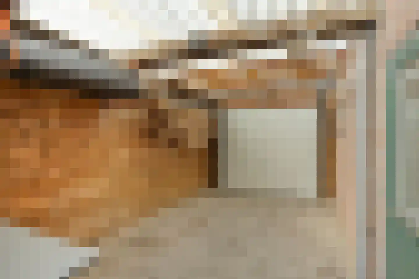 Sleedoorn 13 Cuijk thumbnail 32