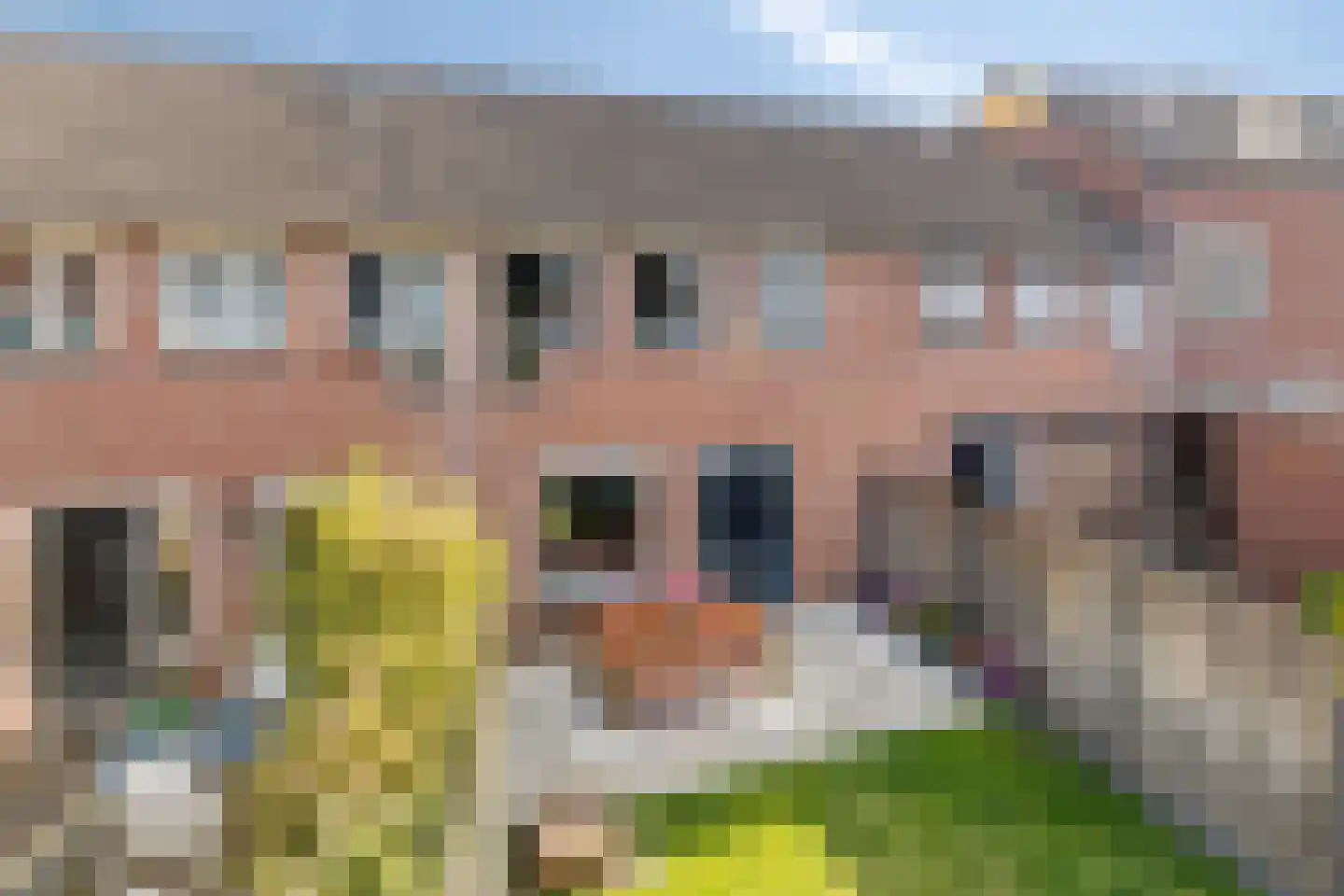 Sleedoorn 13 Cuijk thumbnail 34