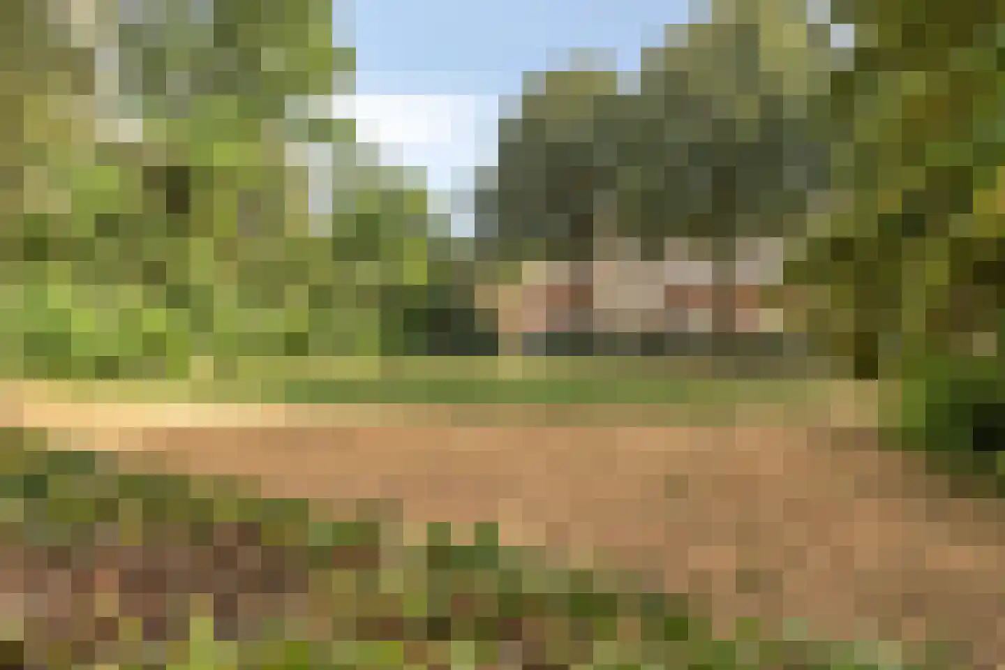 Sleedoorn 13 Cuijk thumbnail 35