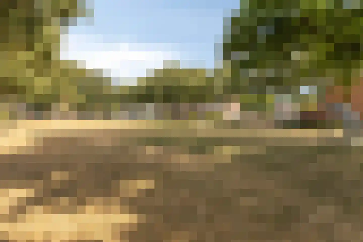 Sleedoorn 13 Cuijk thumbnail 36