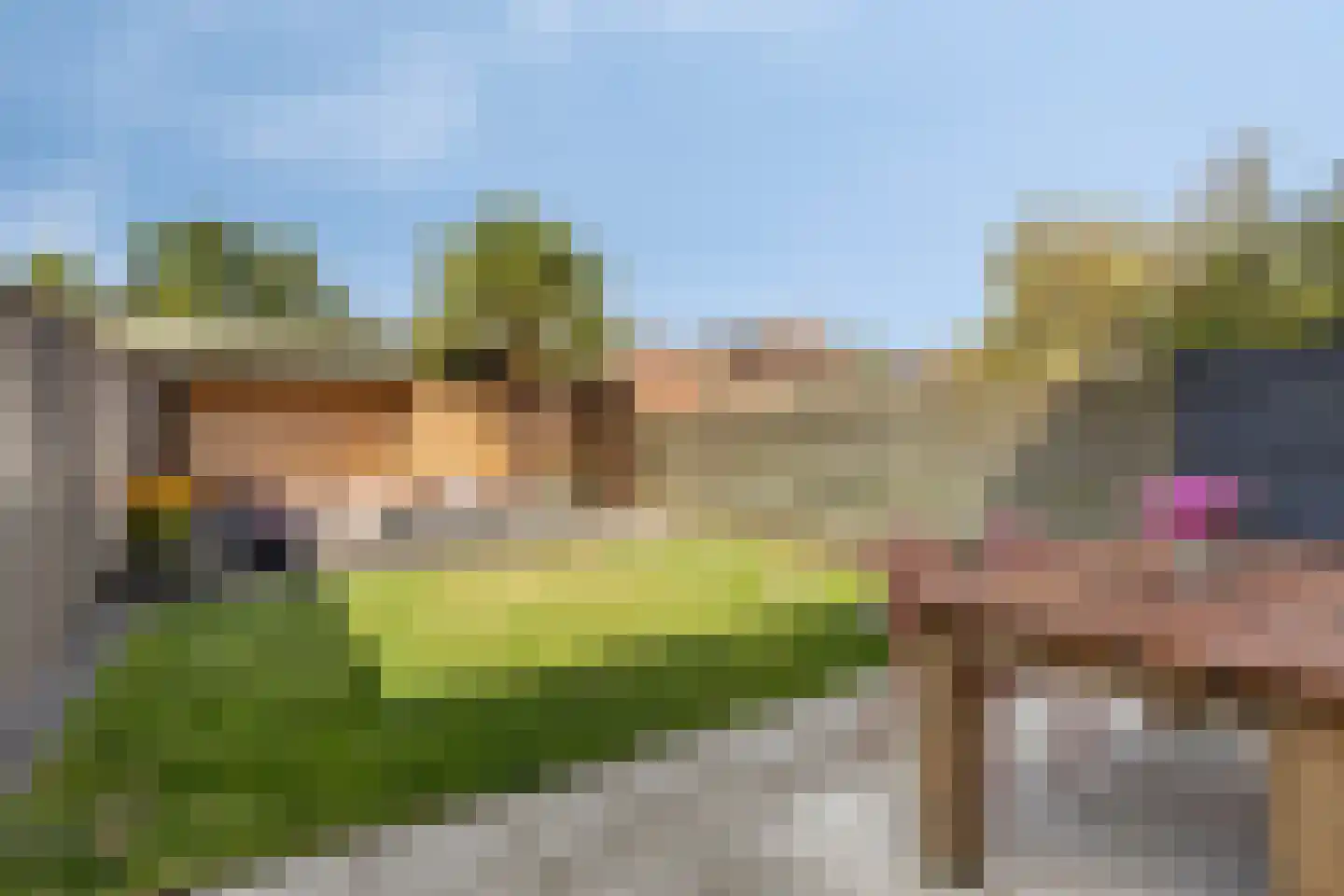 Sleedoorn 13 Cuijk thumbnail 4