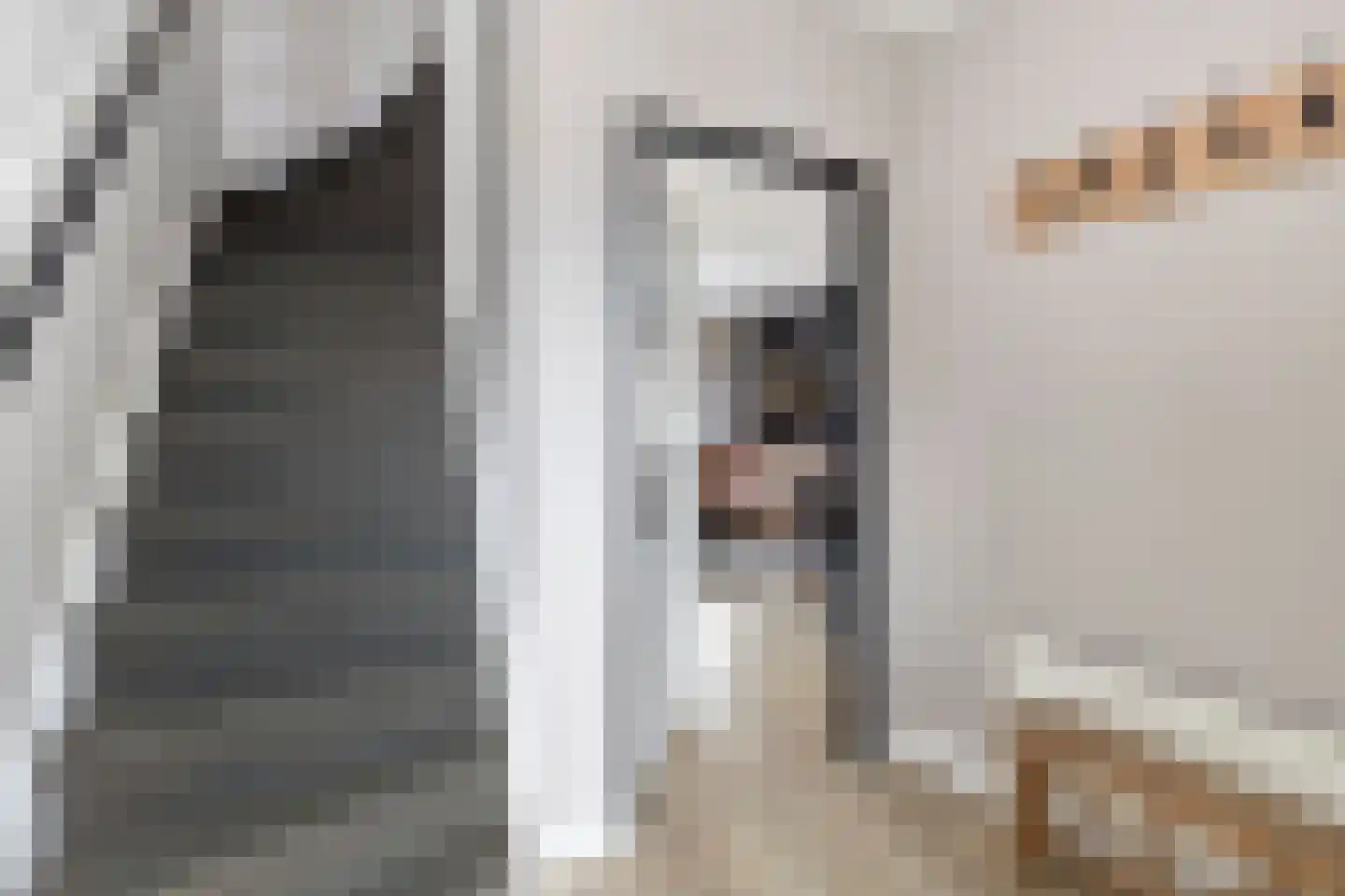Sleedoorn 13 Cuijk thumbnail 7