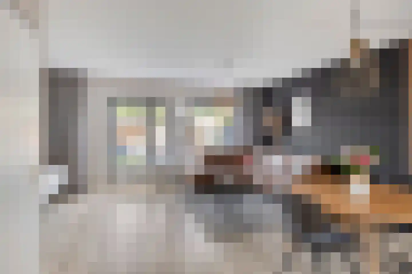 Sleedoorn 13 Cuijk thumbnail 9