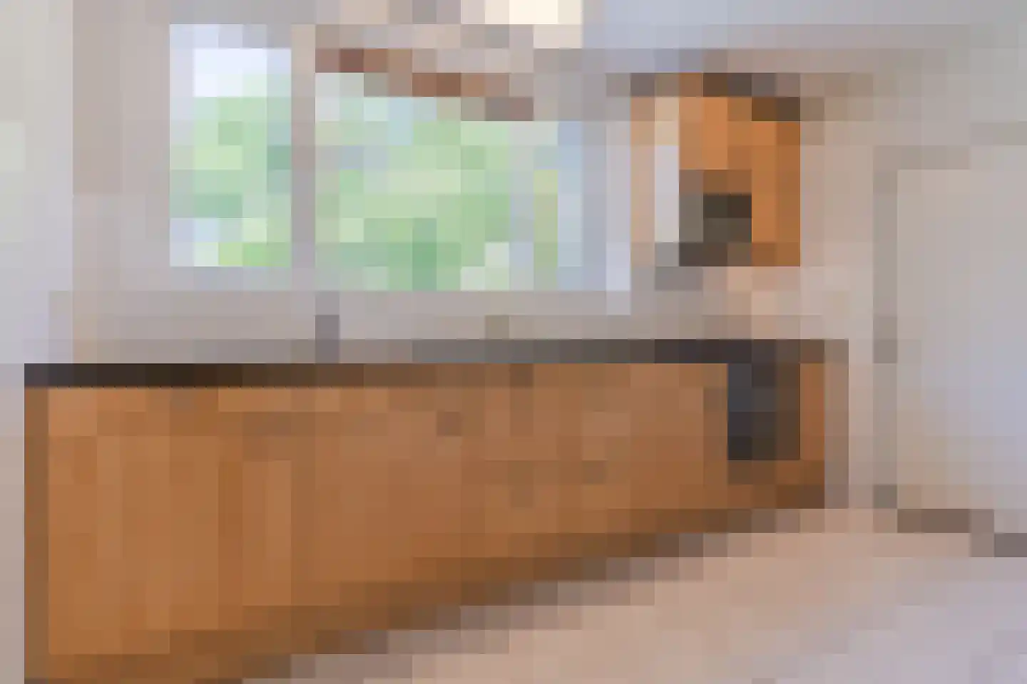 Sleedoorn 13 Geldrop thumbnail 13