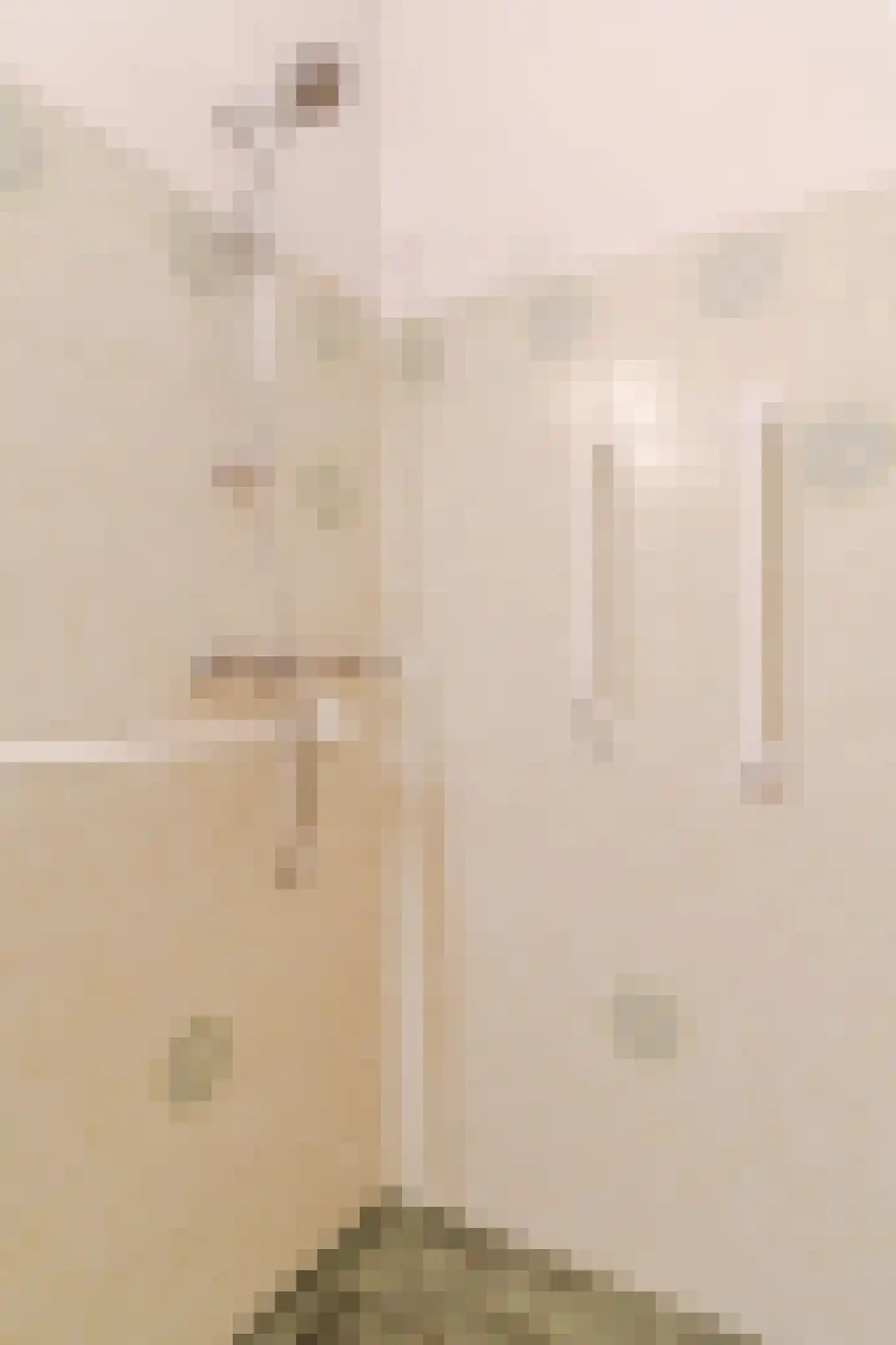 Sleedoorn 13 Geldrop thumbnail 32