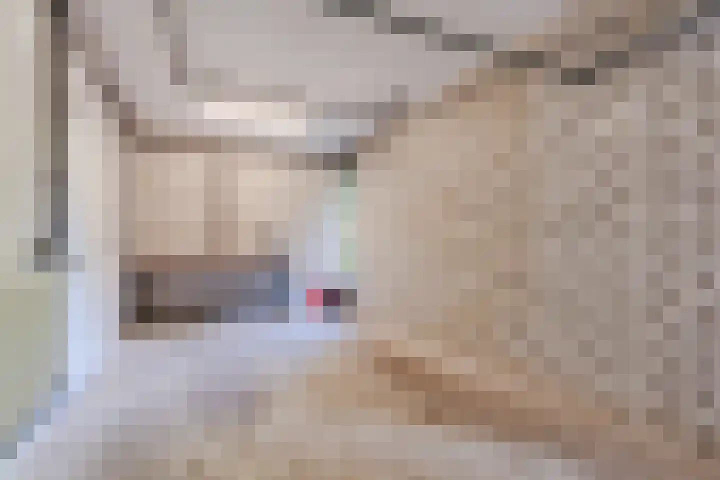 Sleedoorn 13 Geldrop thumbnail 35