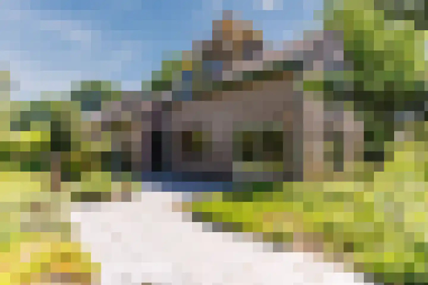Sleedoorn 13 Geldrop thumbnail 37