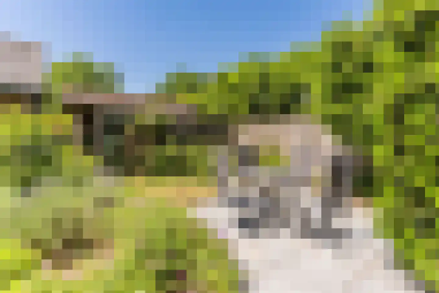 Sleedoorn 13 Geldrop thumbnail 39