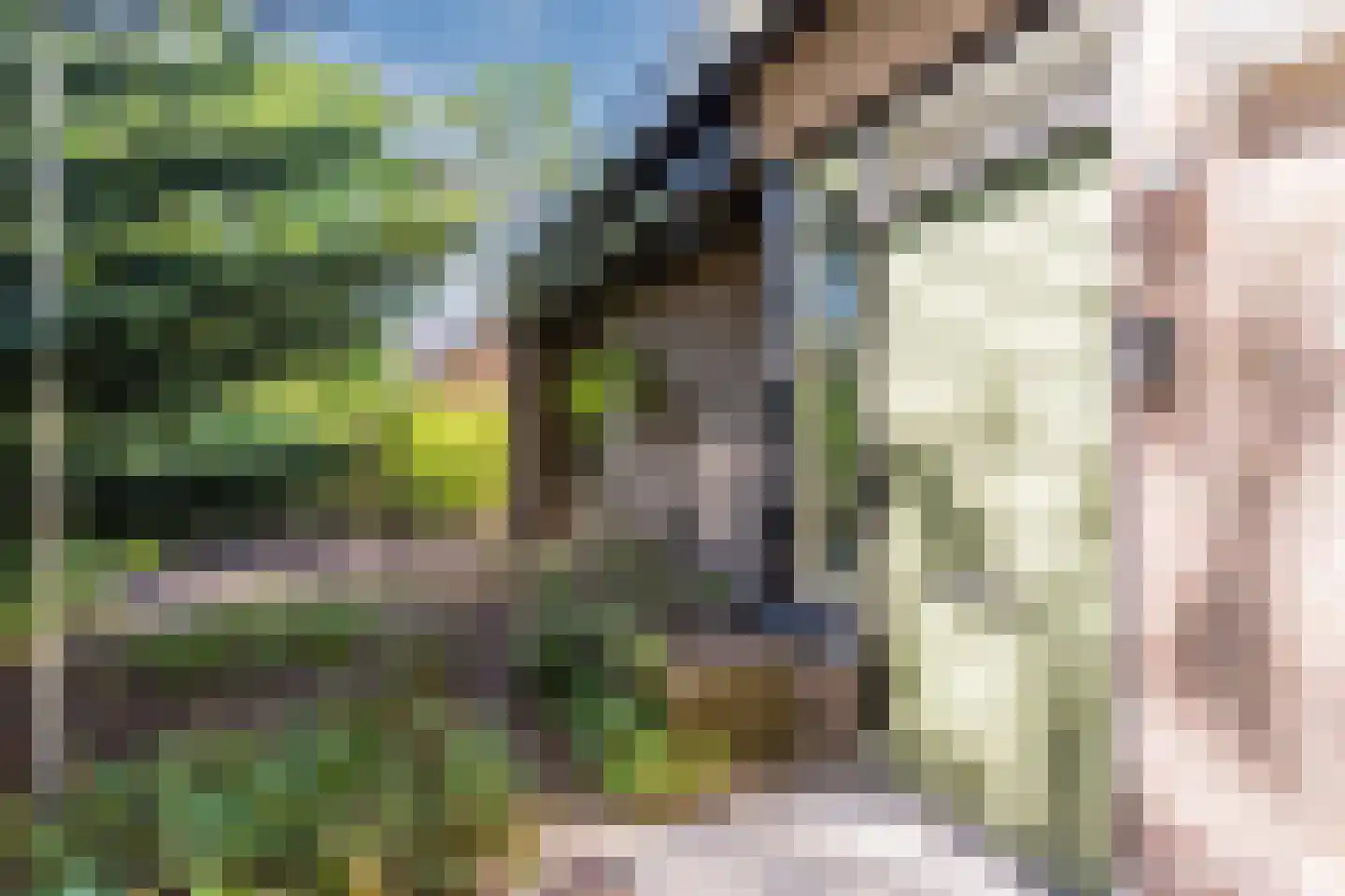 Sleedoorn 13 Geldrop thumbnail 4