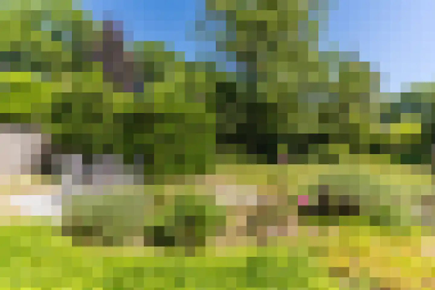 Sleedoorn 13 Geldrop thumbnail 40