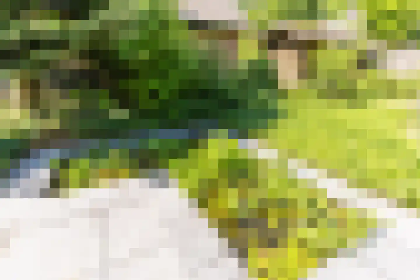 Sleedoorn 13 Geldrop thumbnail 44