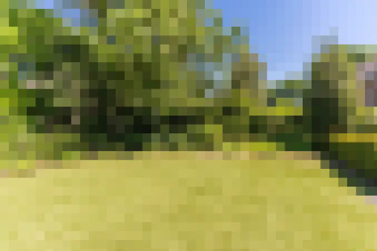 Sleedoorn 13 Geldrop thumbnail 45