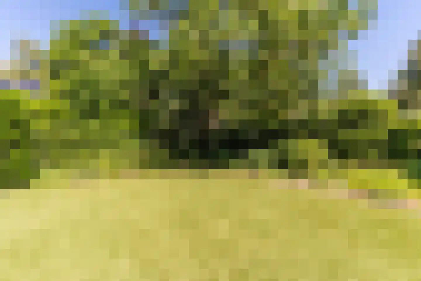 Sleedoorn 13 Geldrop thumbnail 46