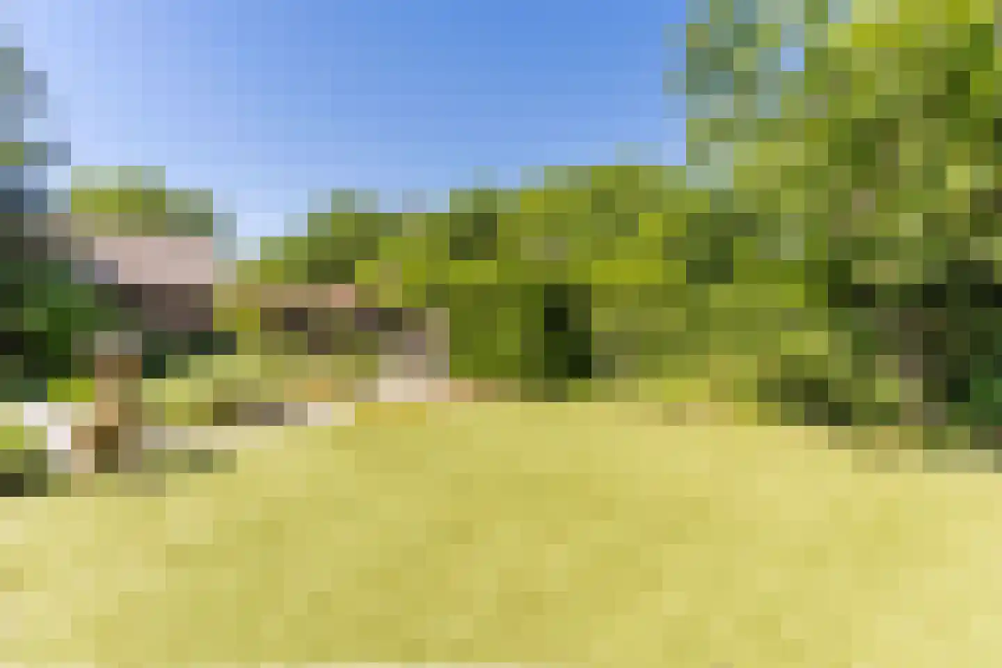 Sleedoorn 13 Geldrop thumbnail 47